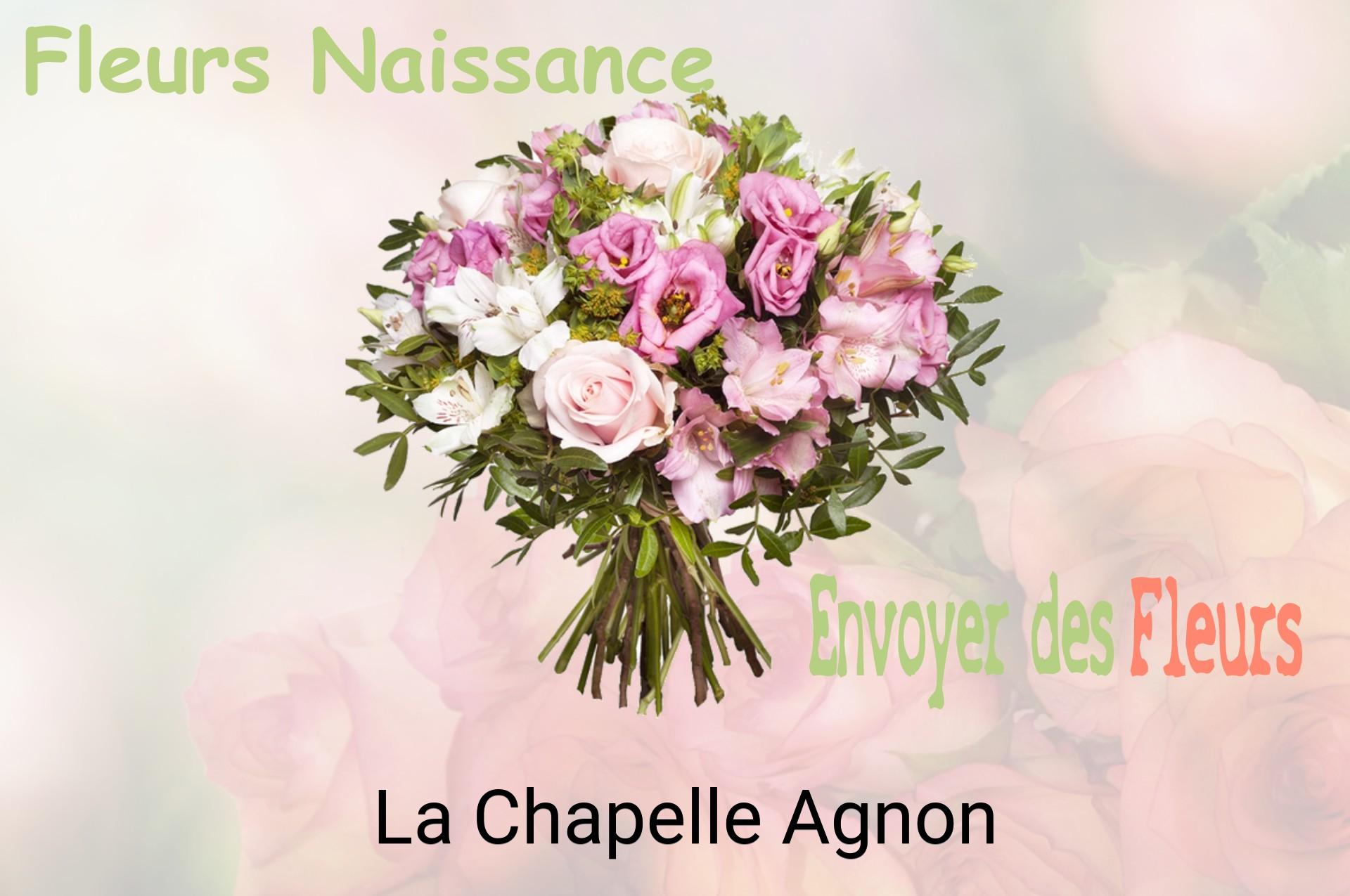 Bouquet de fleurs de naissance livré à La Chapelle-Agnon